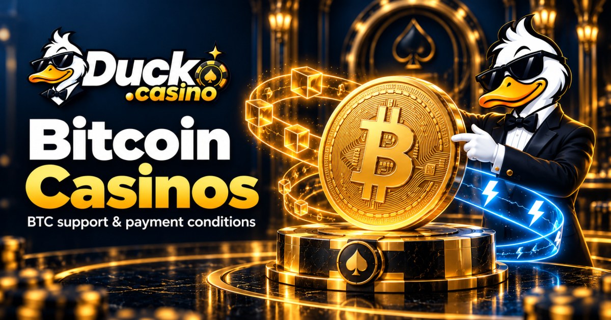 Duck.casino illustrated cover: Bitcoin Casinos. BTC support & payment conditions.